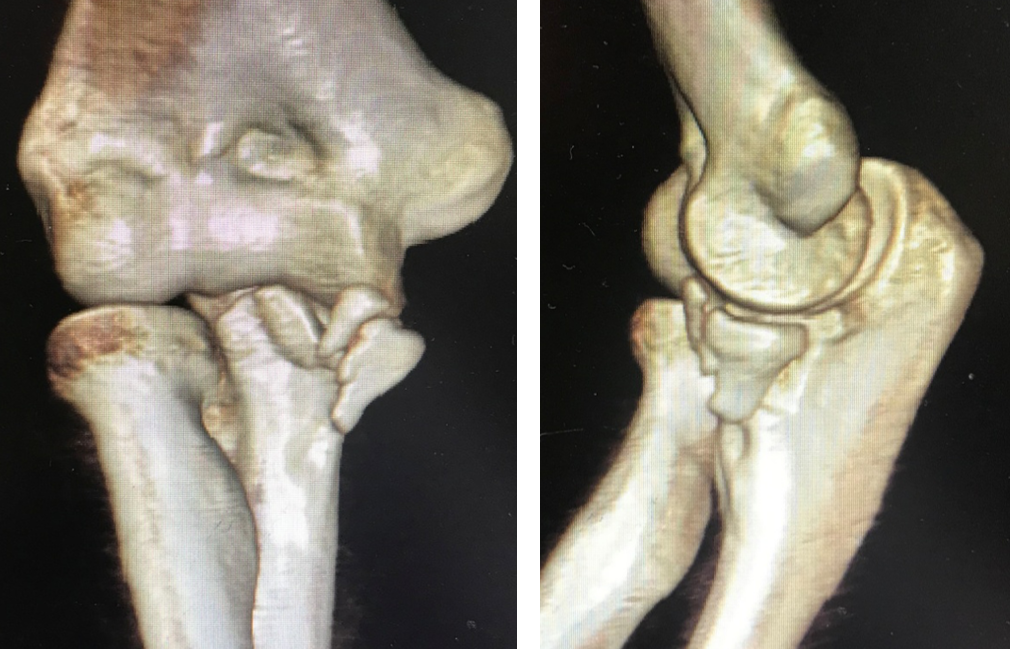 爱游戏教练-球关将史密斯之员收嘴上解剖的简单介绍